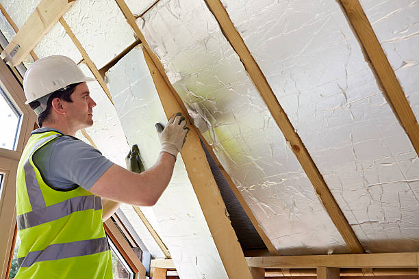 Best Home Insulation Services  in Tell City, IN